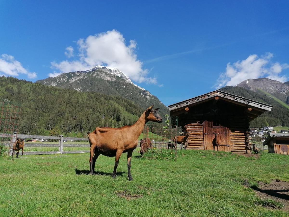 Schottenhof Fulpmes Bagian luar foto