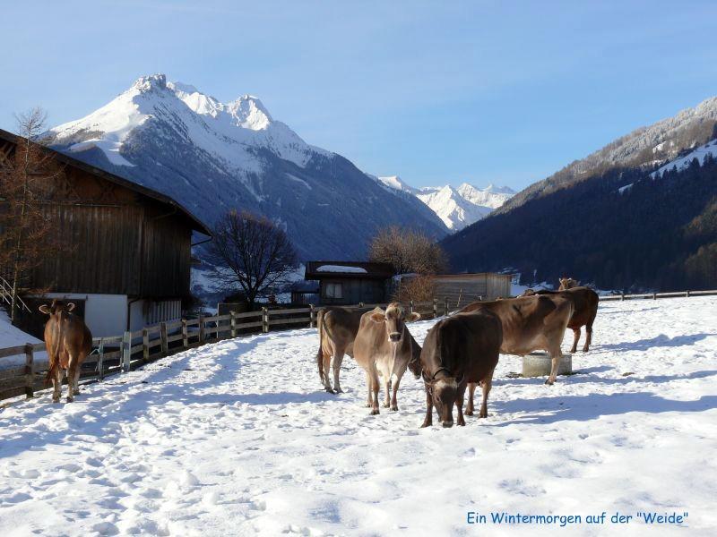 Schottenhof Fulpmes Bagian luar foto