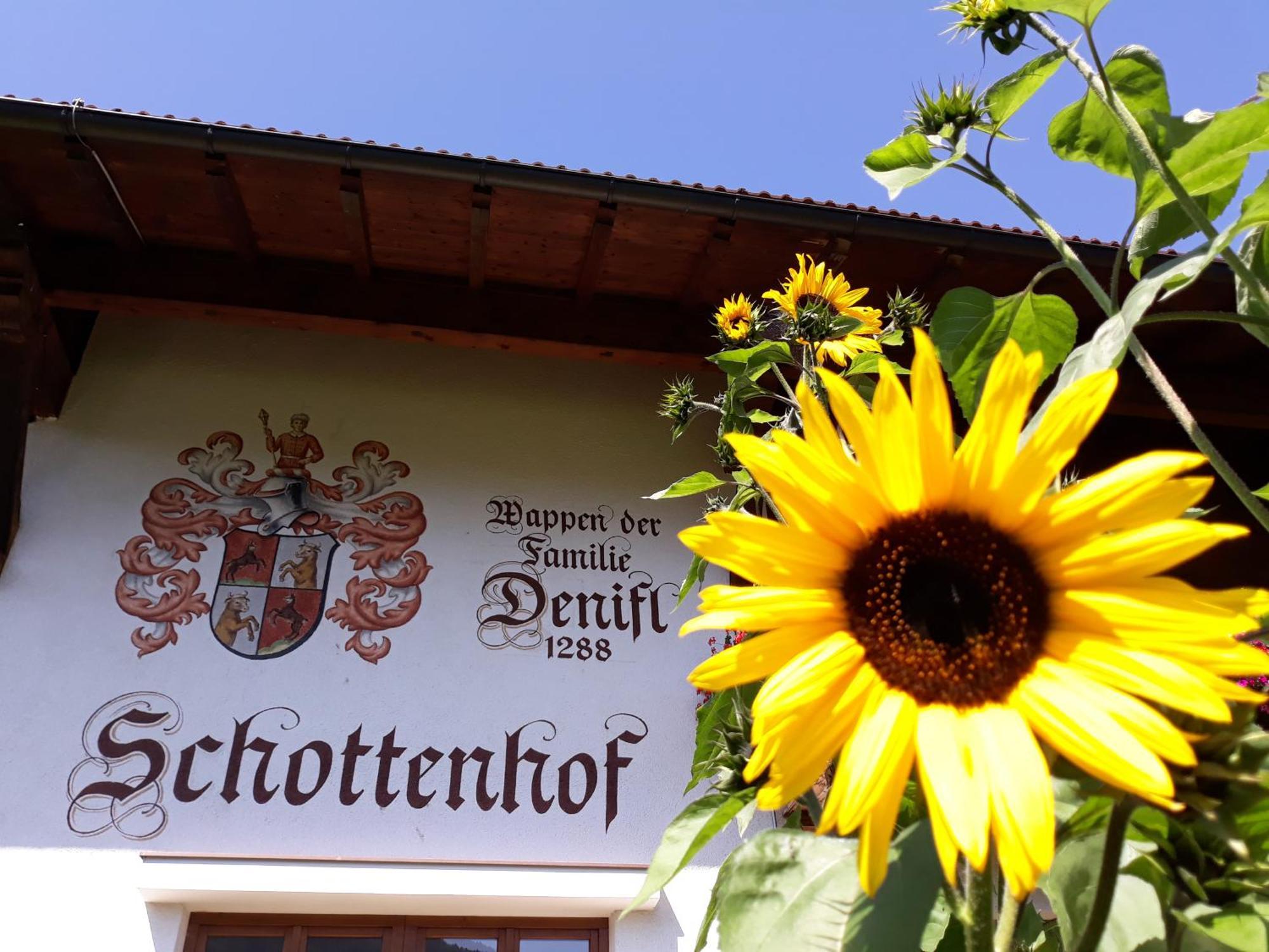 Schottenhof Fulpmes Bagian luar foto